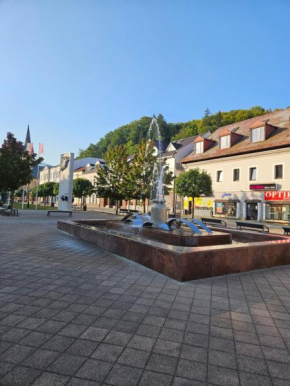 Luxury Central Square Apartment